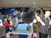 Dustin at Poodle Club of America