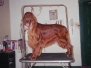 Pet Grooming Portfolio